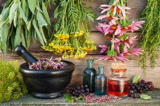 the medicinal herbs